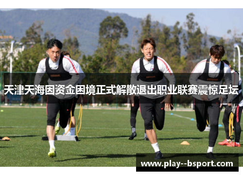 天津天海因资金困境正式解散退出职业联赛震惊足坛
